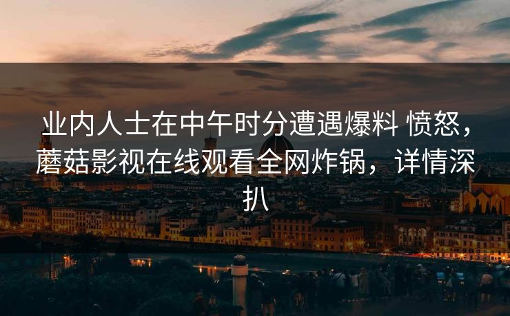 业内人士在中午时分遭遇爆料 愤怒，蘑菇影视在线观看全网炸锅，详情深扒